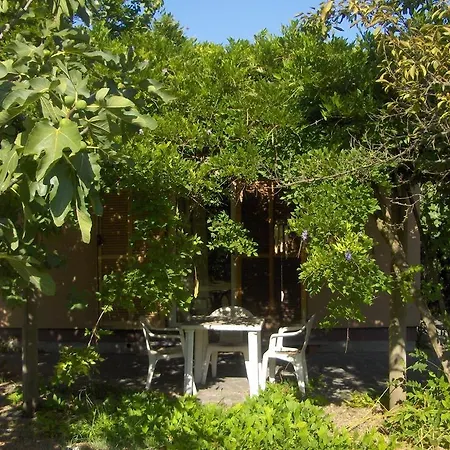 Le Navi Antiche - Hituscany Holiday home Pisa